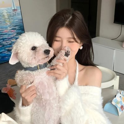 小可爱与拳击手